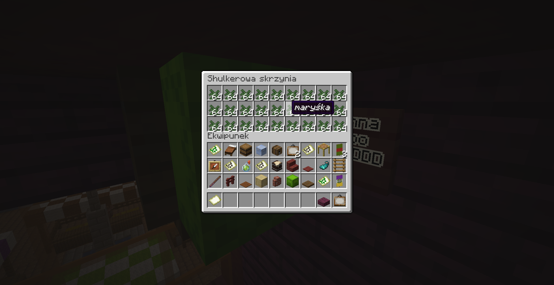 Zrzut ekranu (189).png